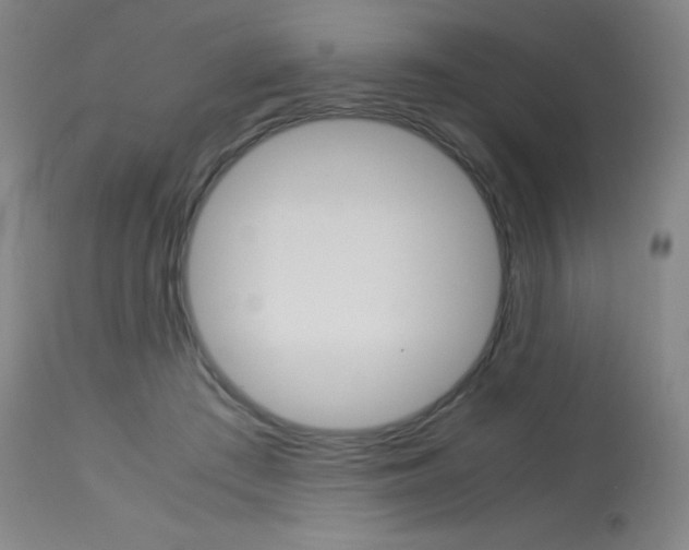 X0000114140409200910081031