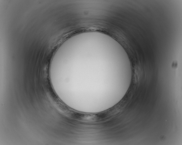 X0000114140410200910081031