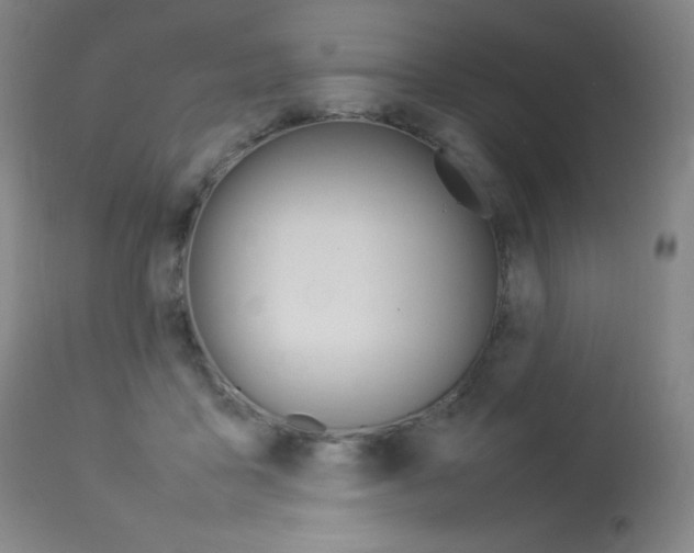 X0000114140411200910081031