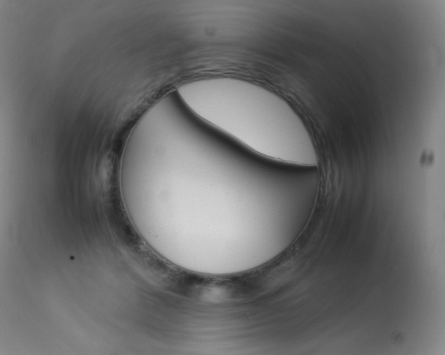 X0000114140412200910081031