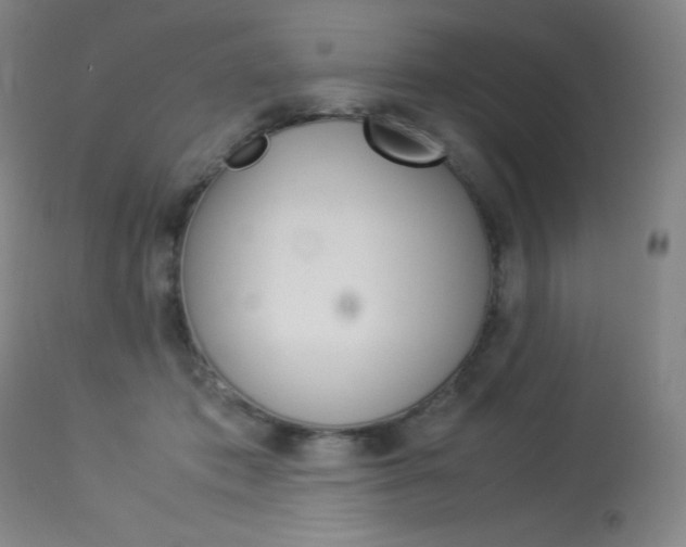 X0000114140413200910081031