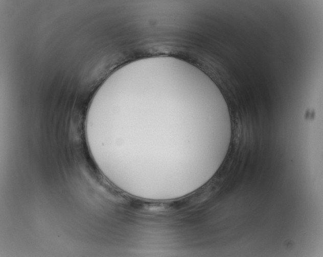 X0000114140414200910081031