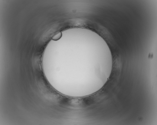 X0000114140415200910081031