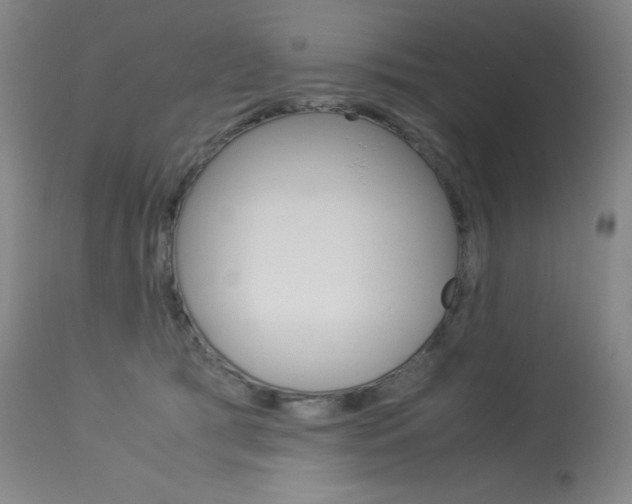 X0000114140417200910081031