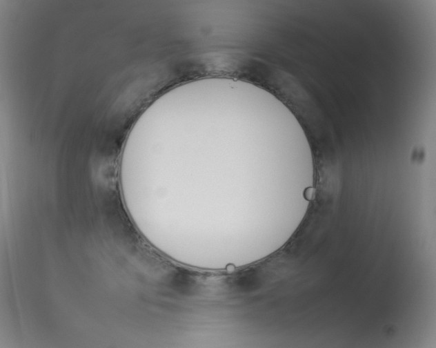 X0000114140419200910081031