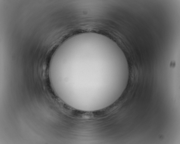 X0000114140420200910081031