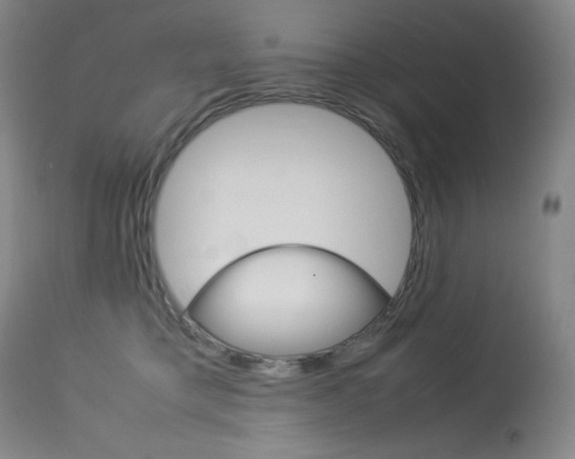 X0000114140421200910081031