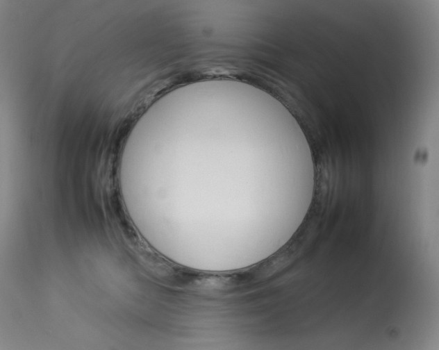 X0000114140422200910081031