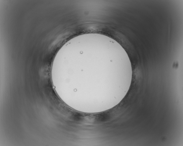 X0000114140423200910081031