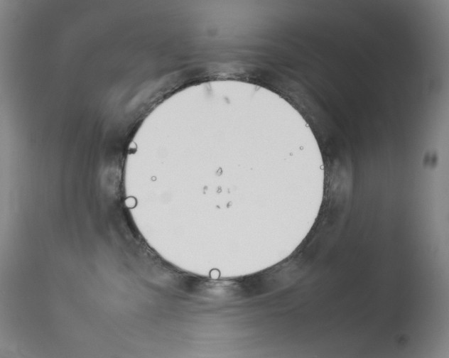 X0000114140427200910081031