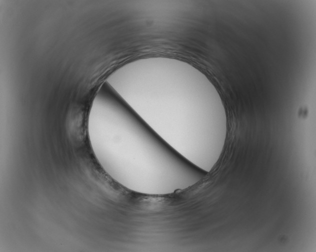 X0000114140428200910081031