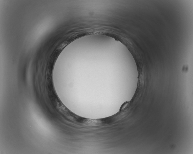 X0000114140429200910081031