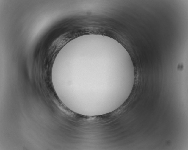 X0000114140430200910081031