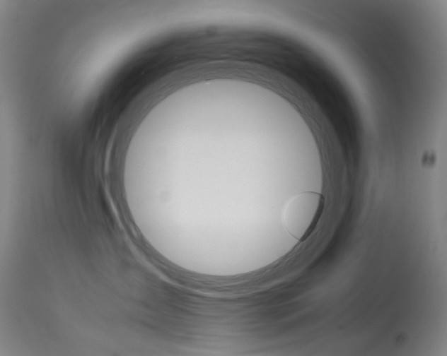 X0000114140431200910081031