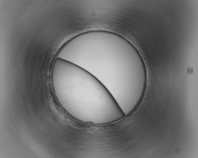 X0000114140434200910081030