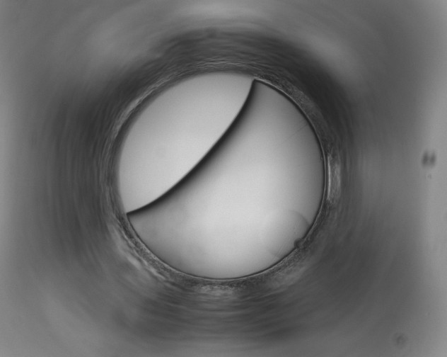 X0000114140435200910081030