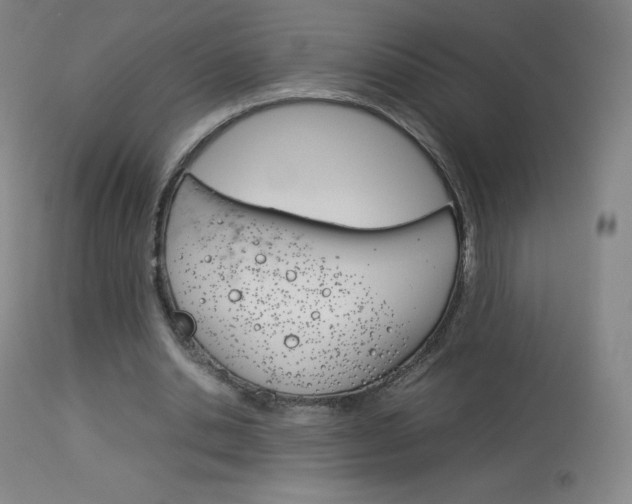 X0000114140438200910081030