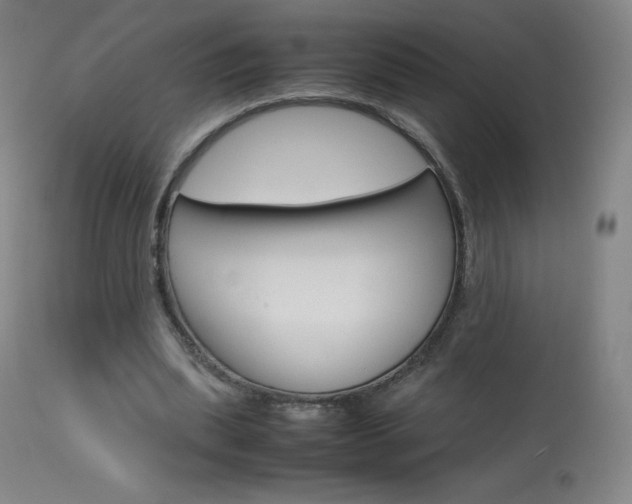 X0000114140439200910081030