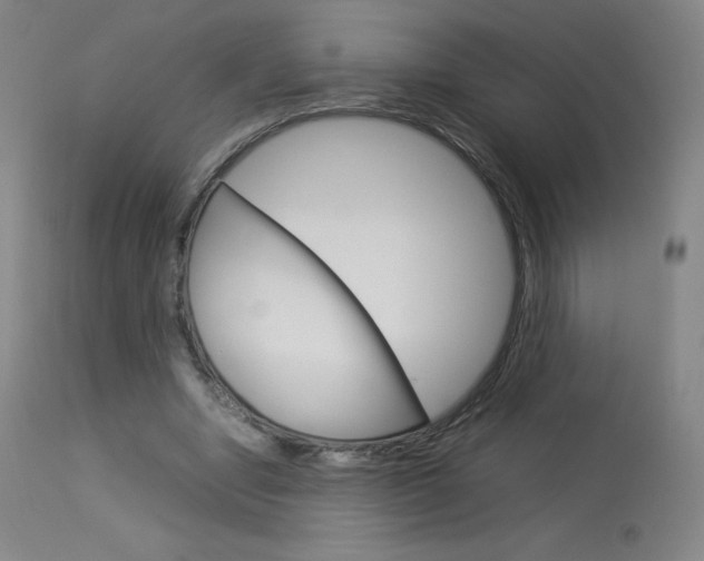 X0000114140442200910081030