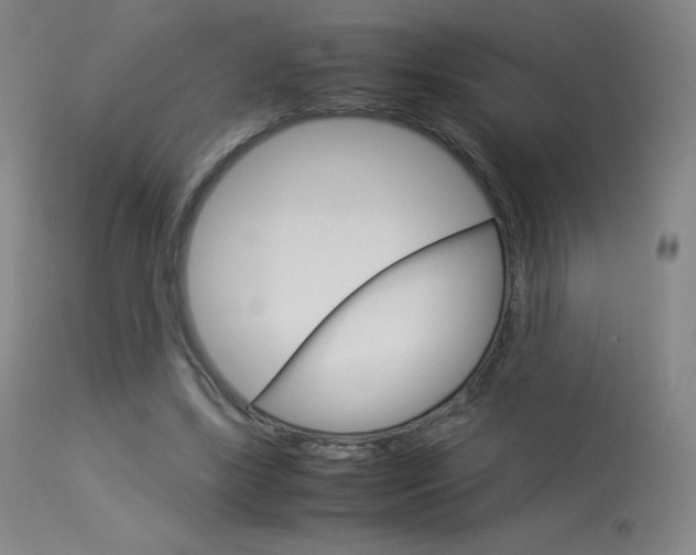 X0000114140443200910081030