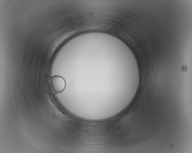 X0000114140444200910081030