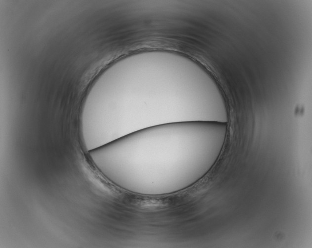 X0000114140445200910081030