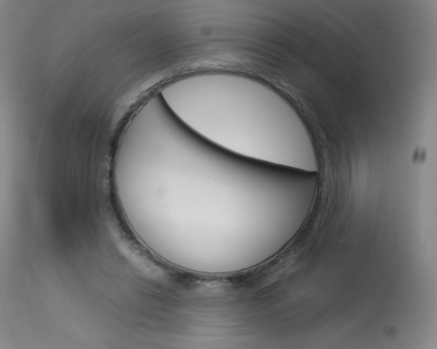 X0000114140446200910081030