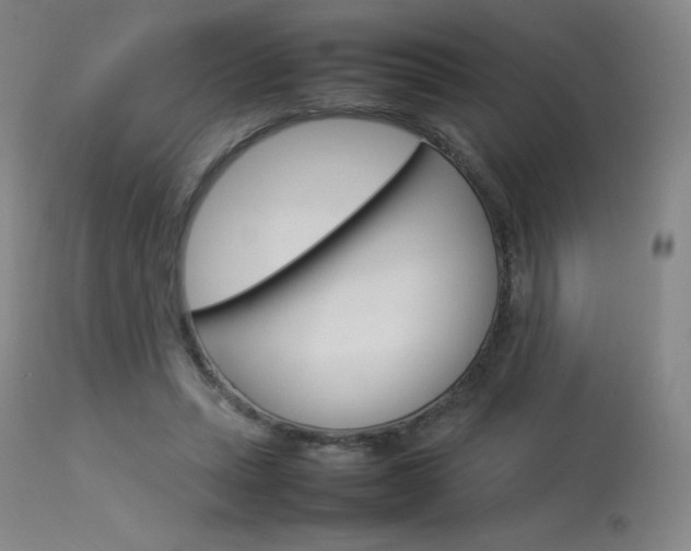 X0000114140447200910081030