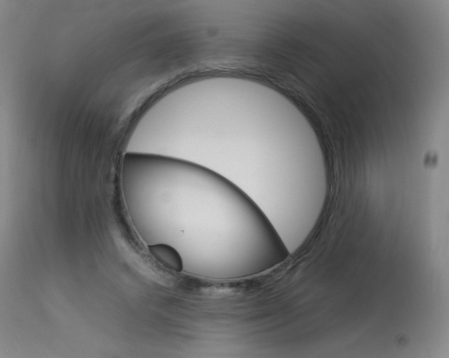 X0000114140448200910081030