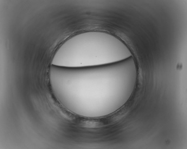 X0000114140449200910081030