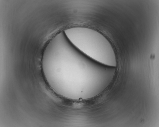 X0000114140450200910081030