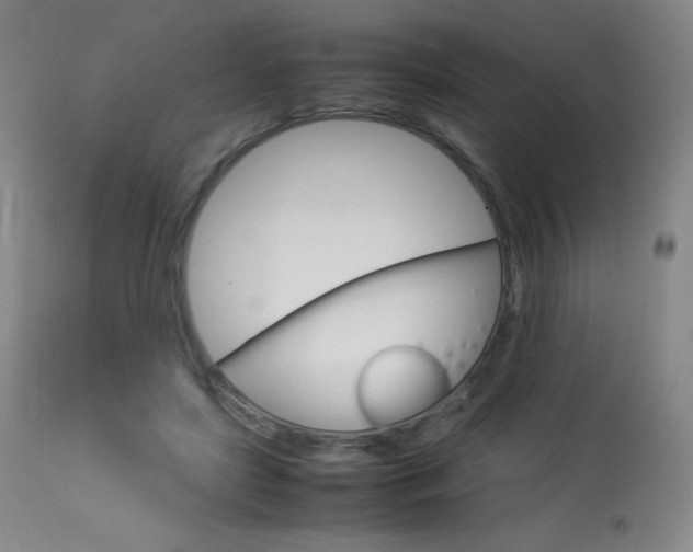 X0000114140451200910081030