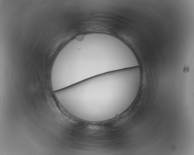 X0000114140453200910081030