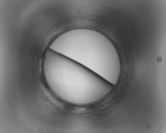 X0000114140454200910081030