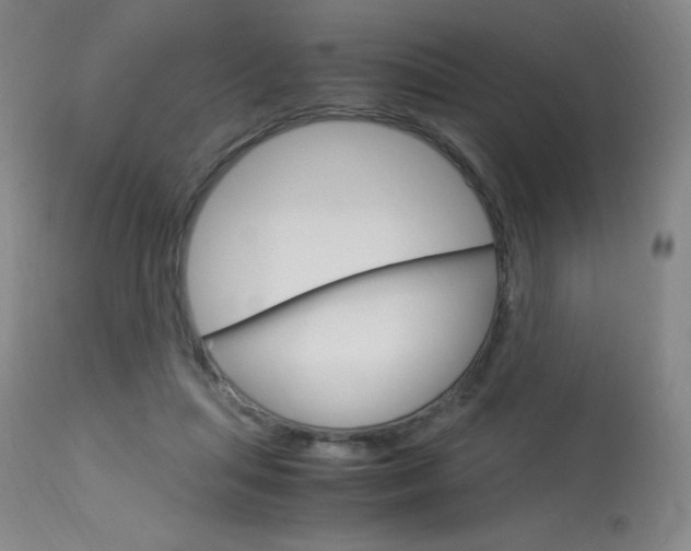 X0000114140455200910081030