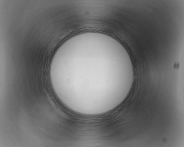 X0000114140456200910081030