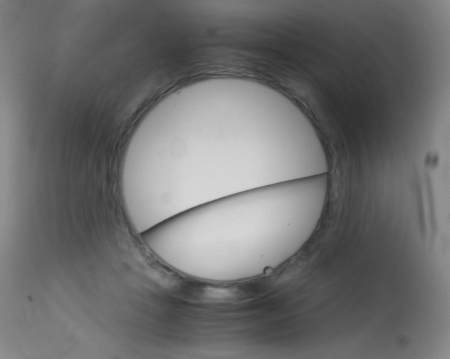 X0000114140457200910081030