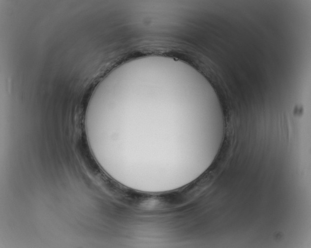 X0000114140460200910081030