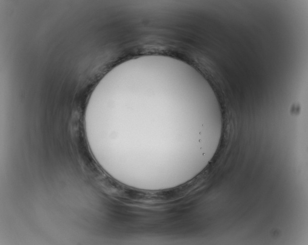 X0000114140463200910081030