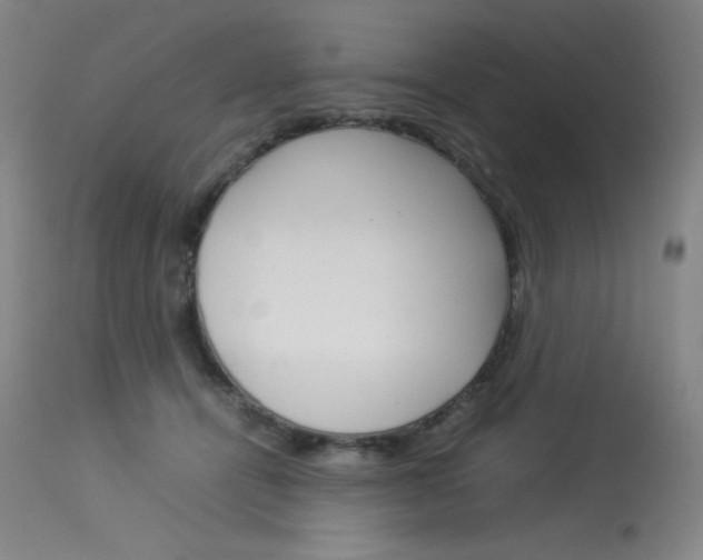 X0000114140464200910081030