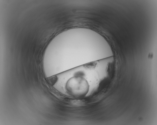 X0000114140465200910081030