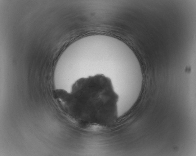 X0000114140466200910081030