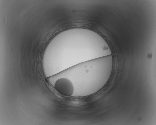 X0000114140467200910081030