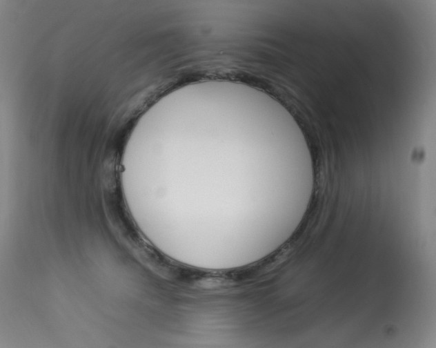 X0000114140468200910081030