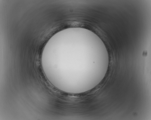 X0000114140469200910081030