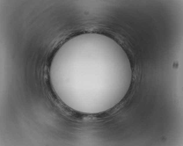 X0000114140470200910081030