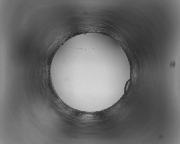 X0000114140473200910081030