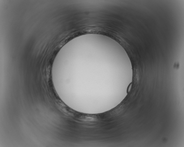 X0000114140475200910081030