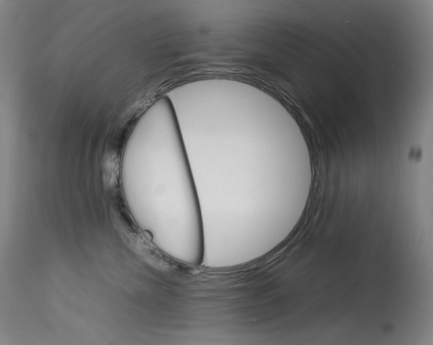 X0000114140476200910081030