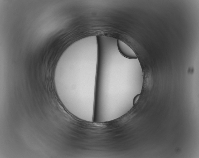 X0000114140477200910081030